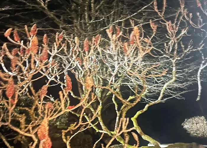 Holiday home Du Gue Les Hautes-Rivieres